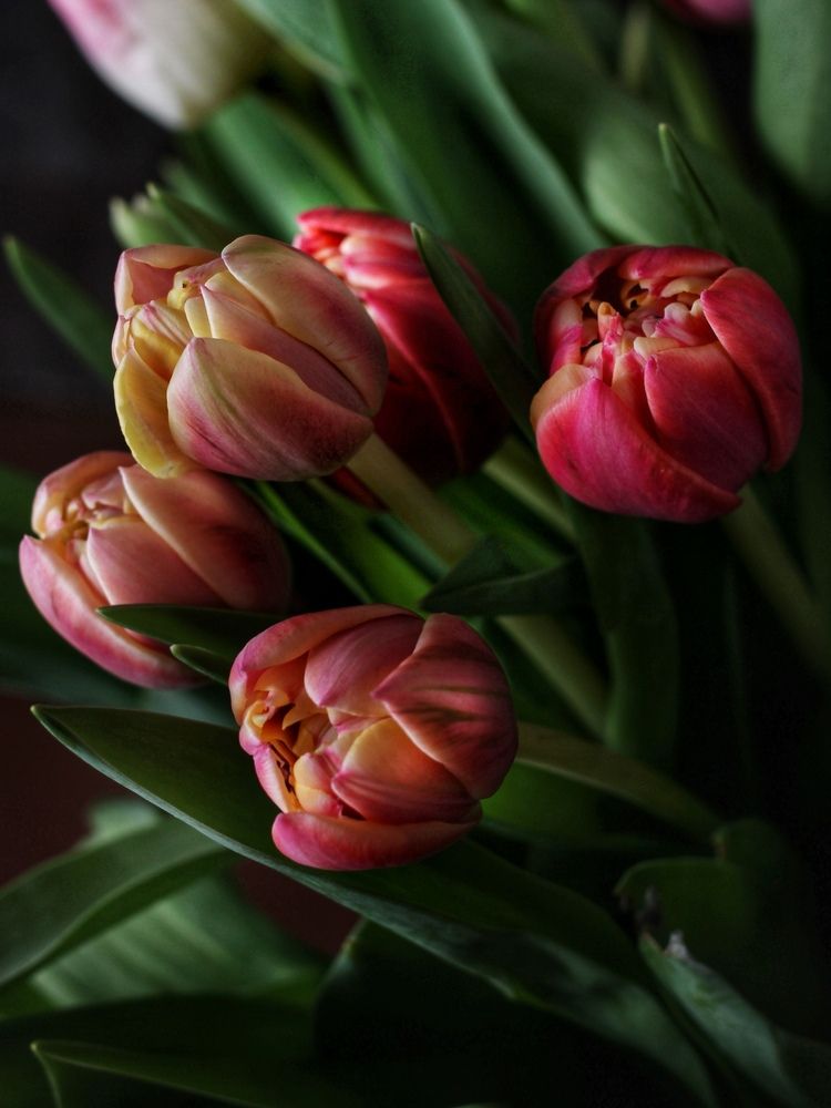 Photograph by Любовь Колмакова