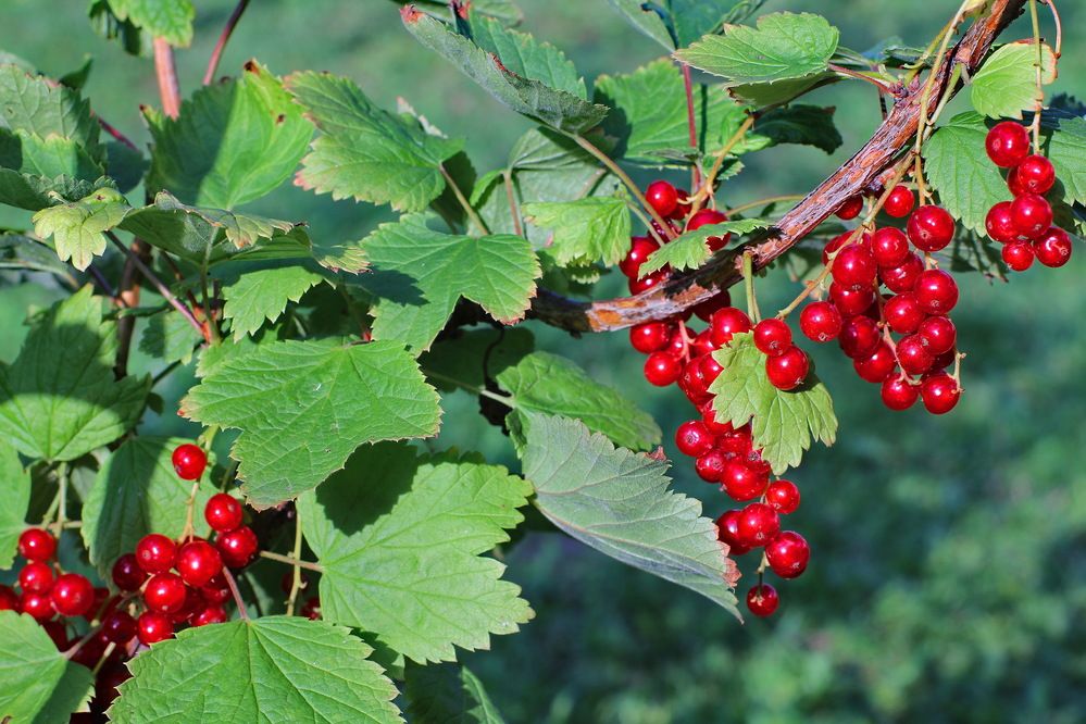 Photograph by Виталий Симоненков