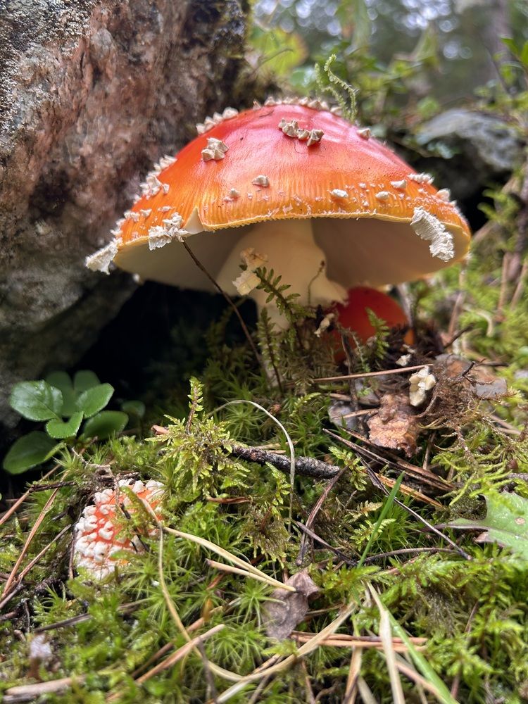 Photograph by Елена Власова