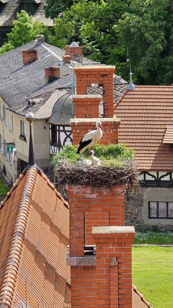 Photograph by Наталия Короленко