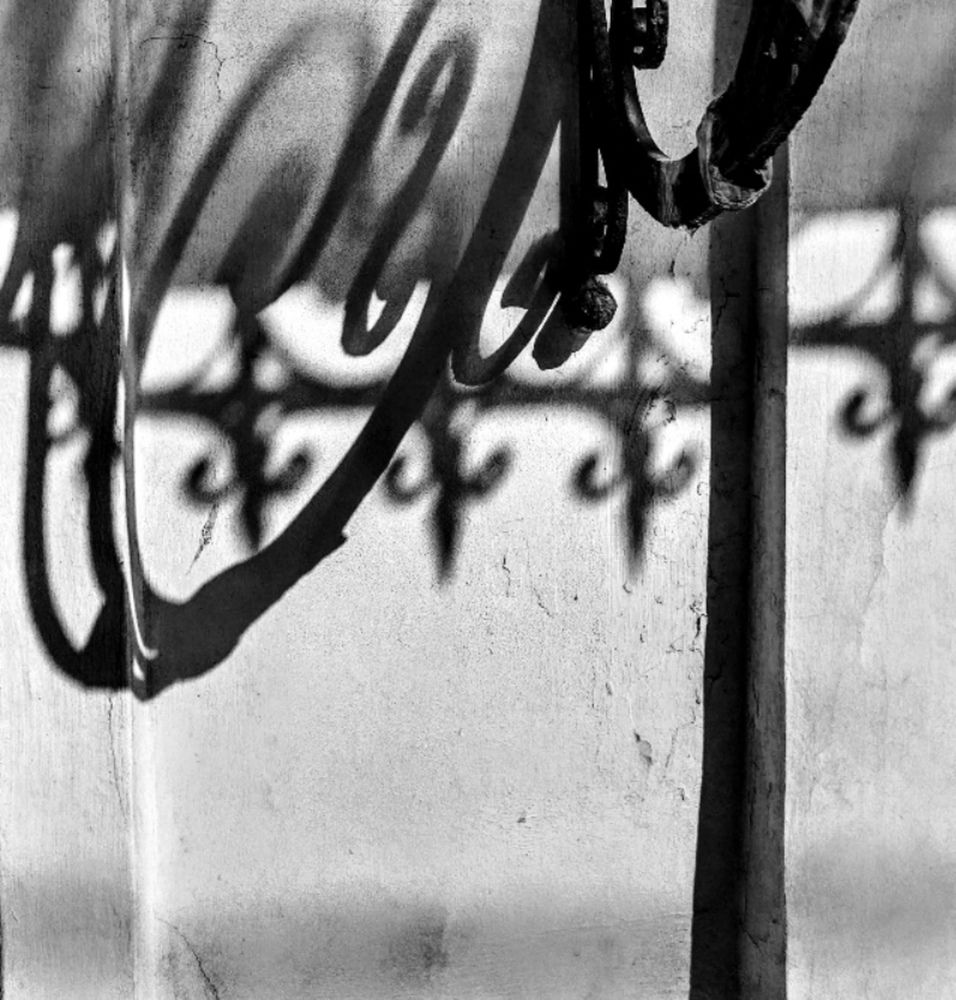 Photograph by Роман Новиков