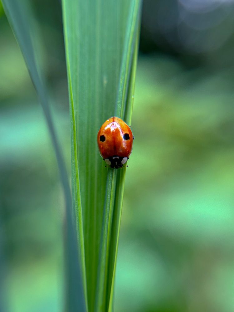 Фотография автора Анастасия