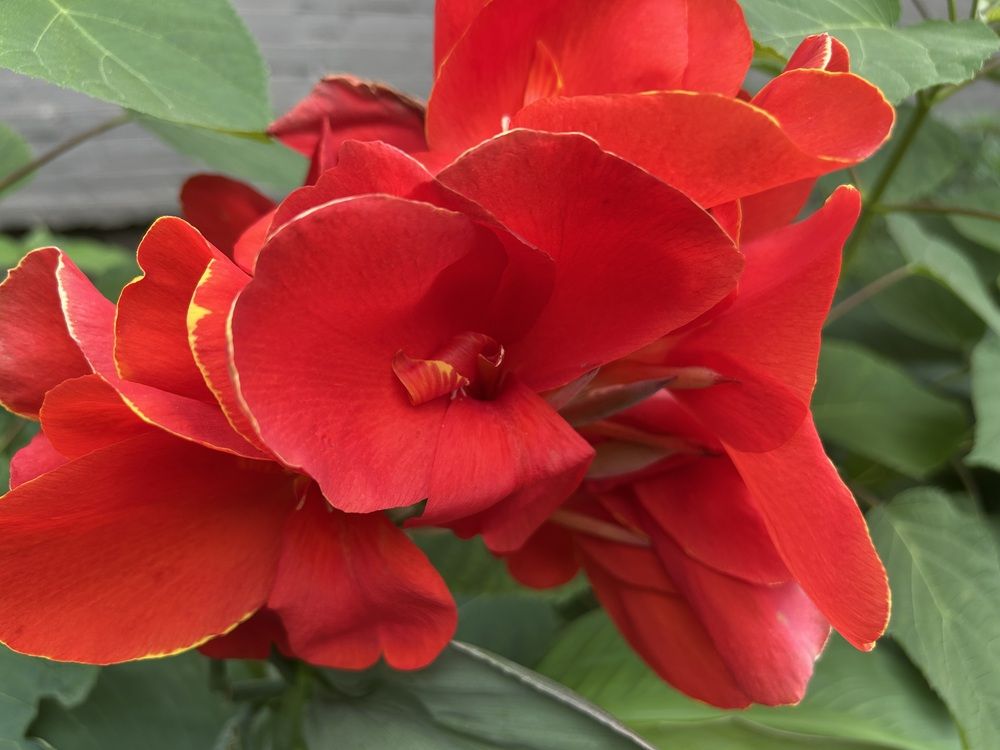 Photograph by Елена Власова