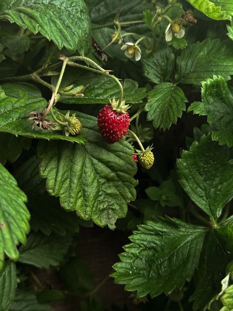 Photograph by Наталья Чехова