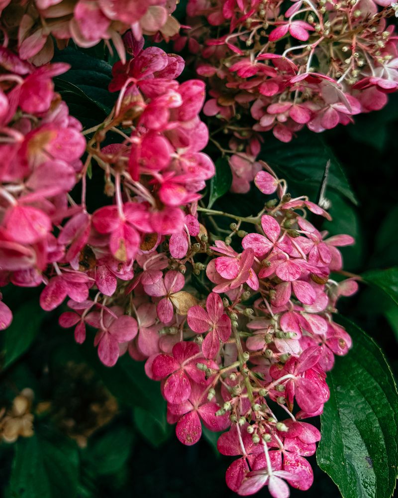 Photograph by Наталья Чехова