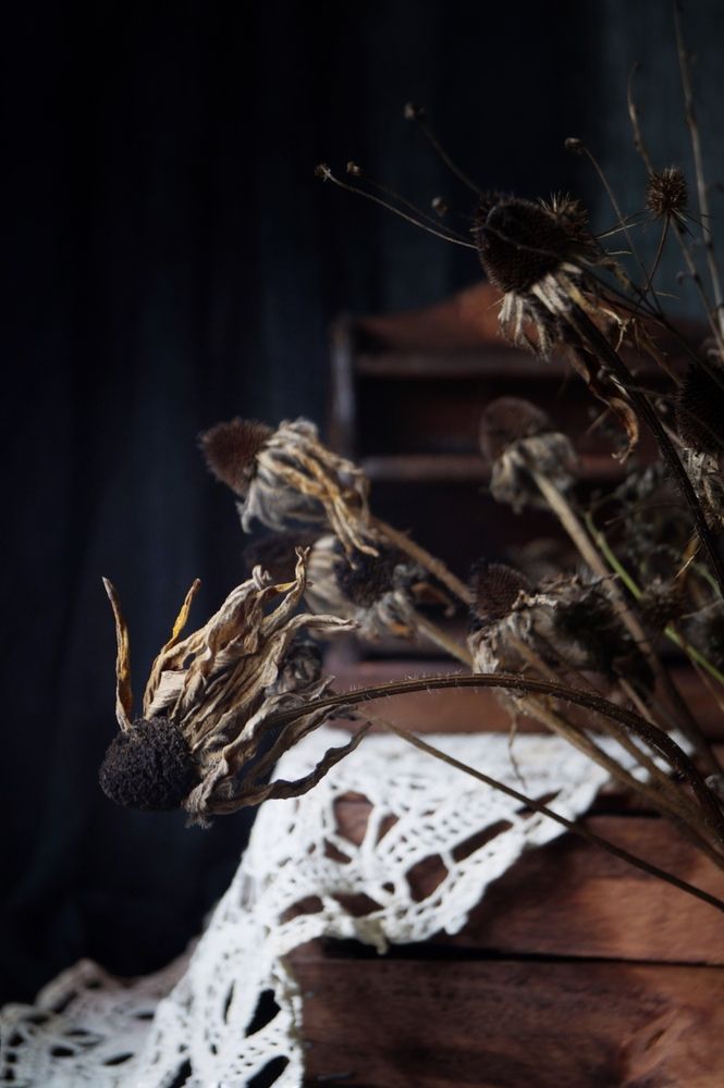 Photograph by Swetlana Smiryagina