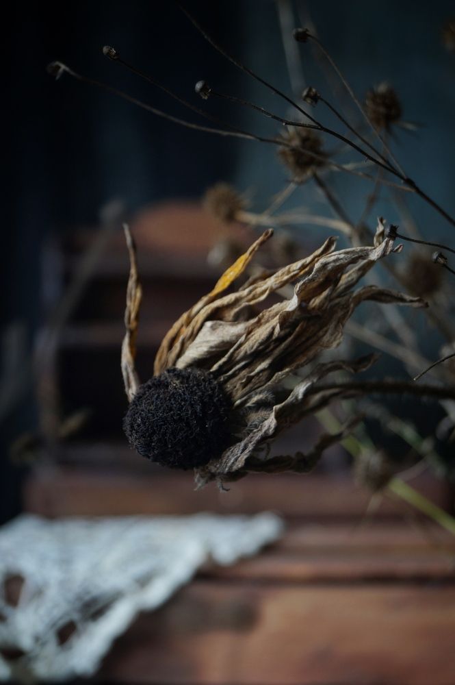 Photograph by Swetlana Smiryagina