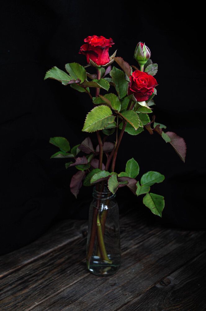 Осенние розы