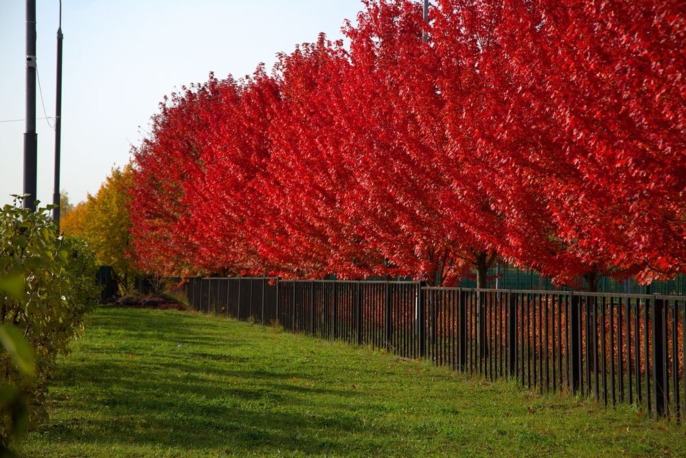 Photograph by Владимир Кулешов