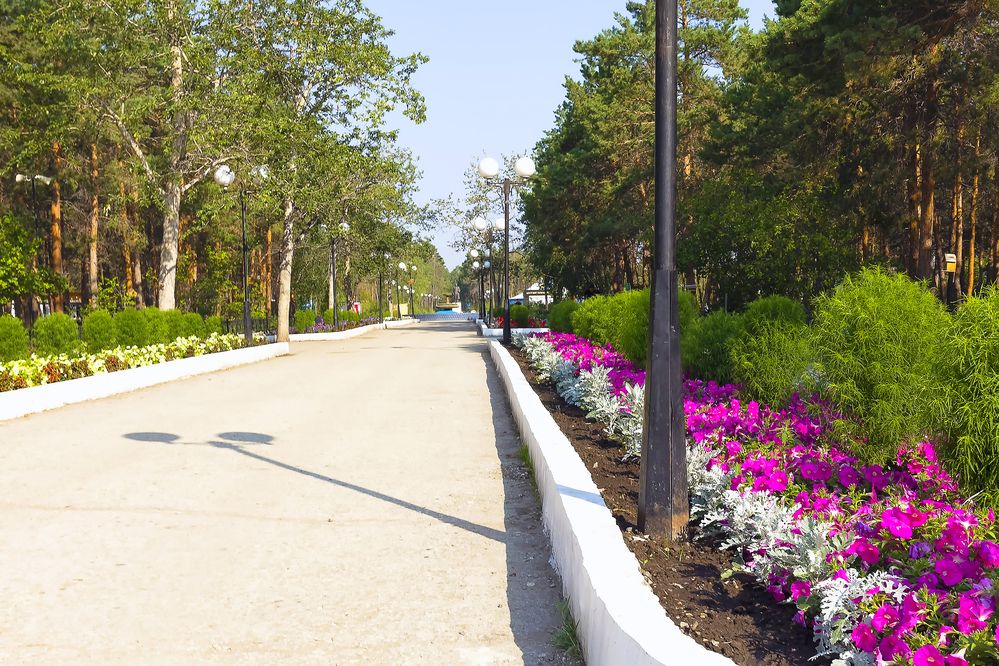 По дороге в парк.