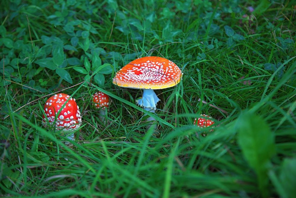 Photograph by Владимир Кулешов