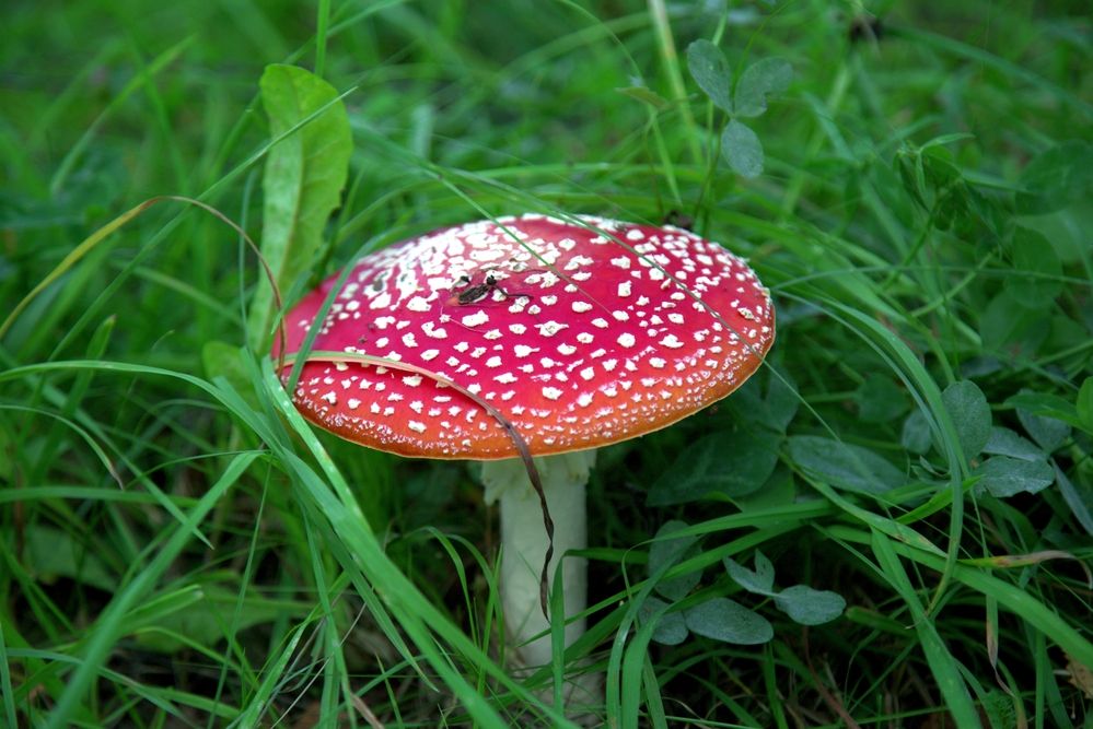 Photograph by Владимир Кулешов