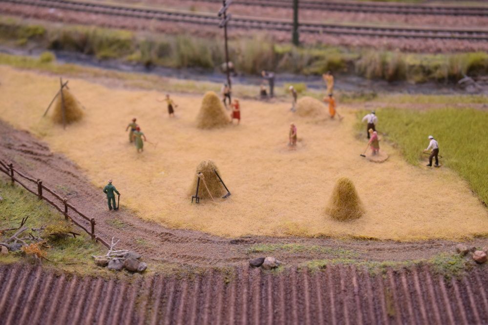 Photograph by Наталья Зверева