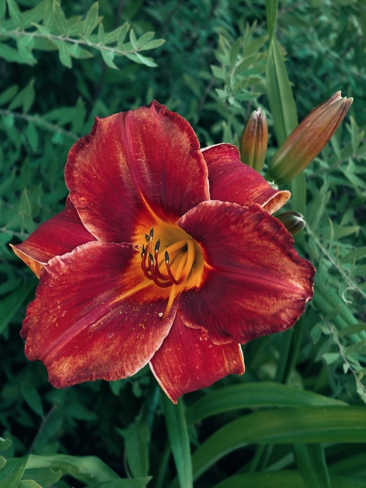 Photograph by Дарина Ворошилова