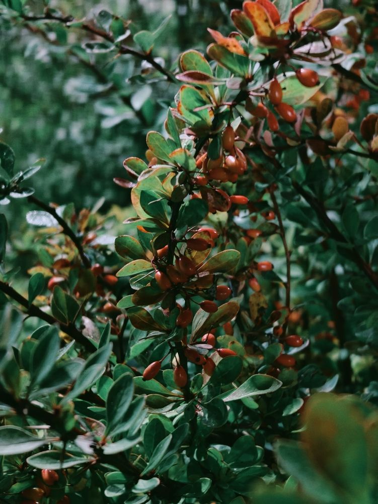 Photograph by Дарина Ворошилова