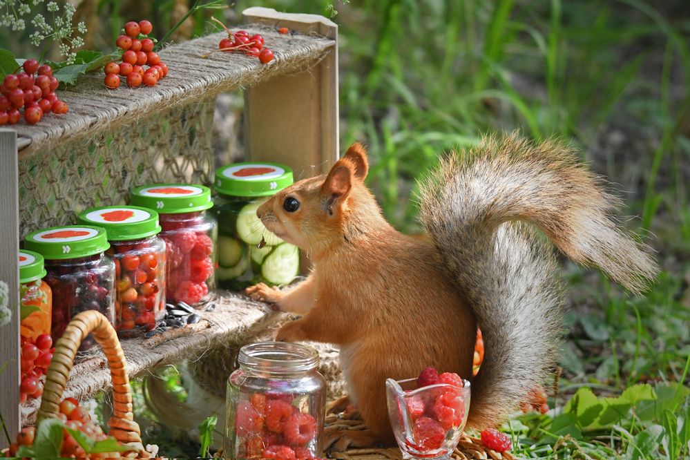 Photograph by Елена Гасенко