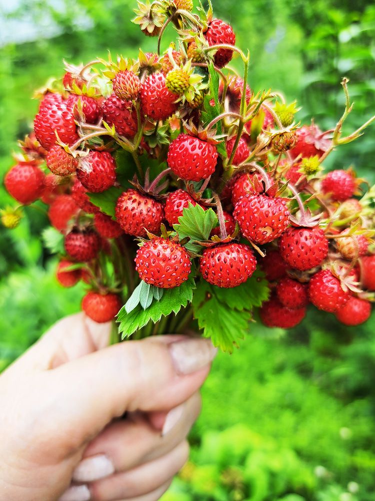 Photograph by Ольга Дядченко