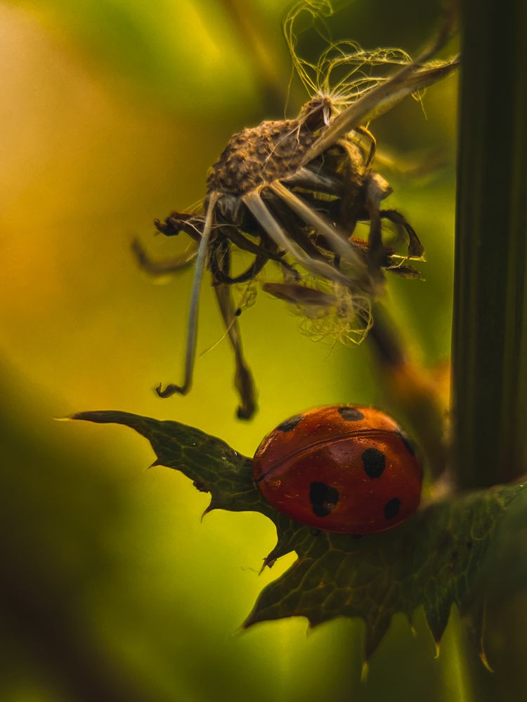Photograph by Виктория Казакова
