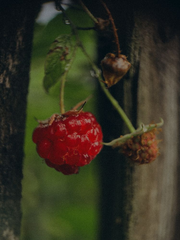 Photograph by Виктория Казакова