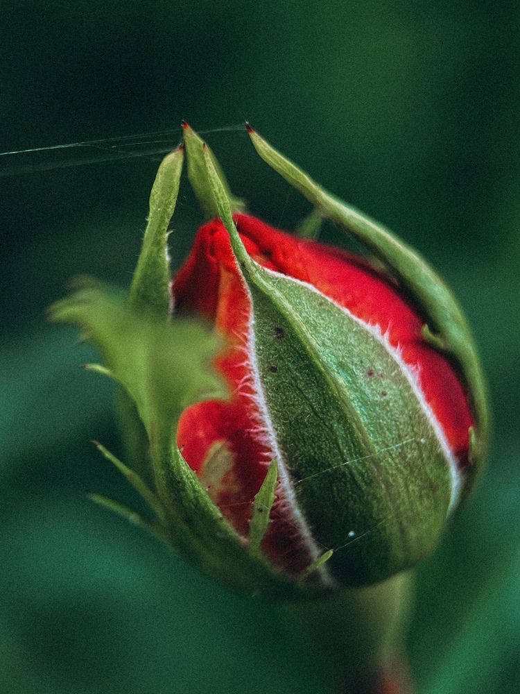 Photograph by Виктория Казакова