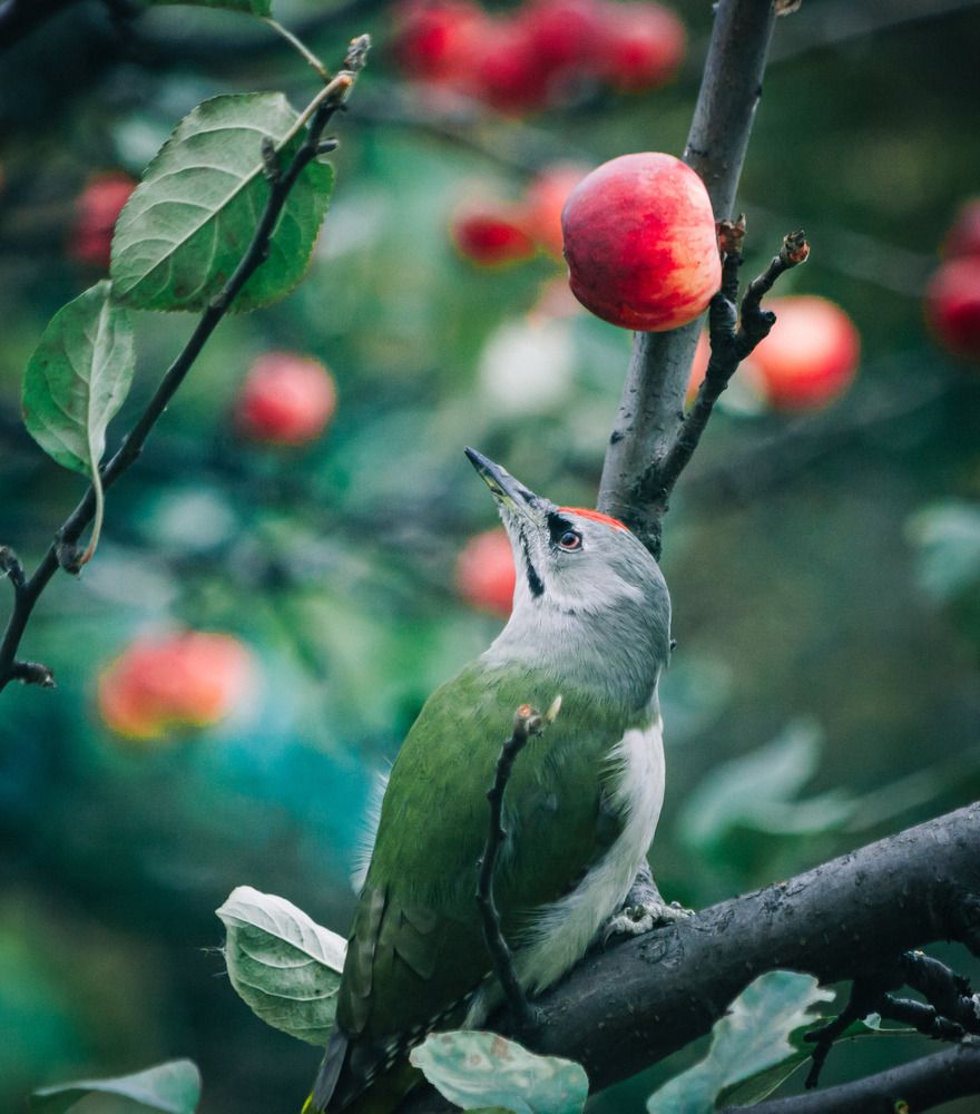 Photograph by Николай Захаров