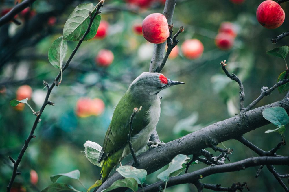 Photograph by Николай Захаров