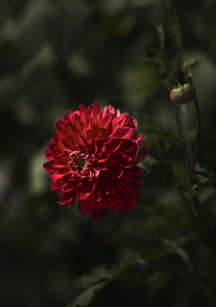 Photograph by Светлана Алексеева