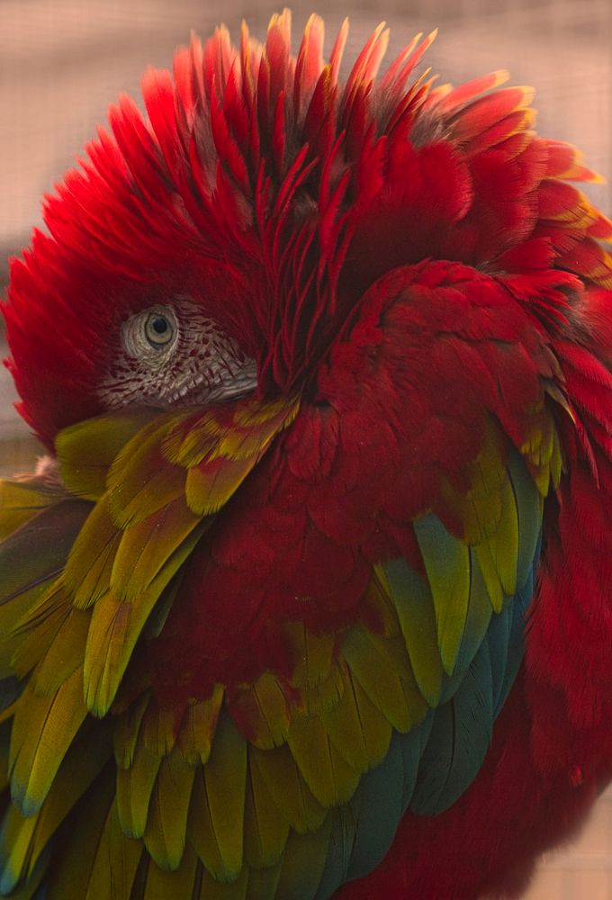 Photograph by Светлана Алексеева