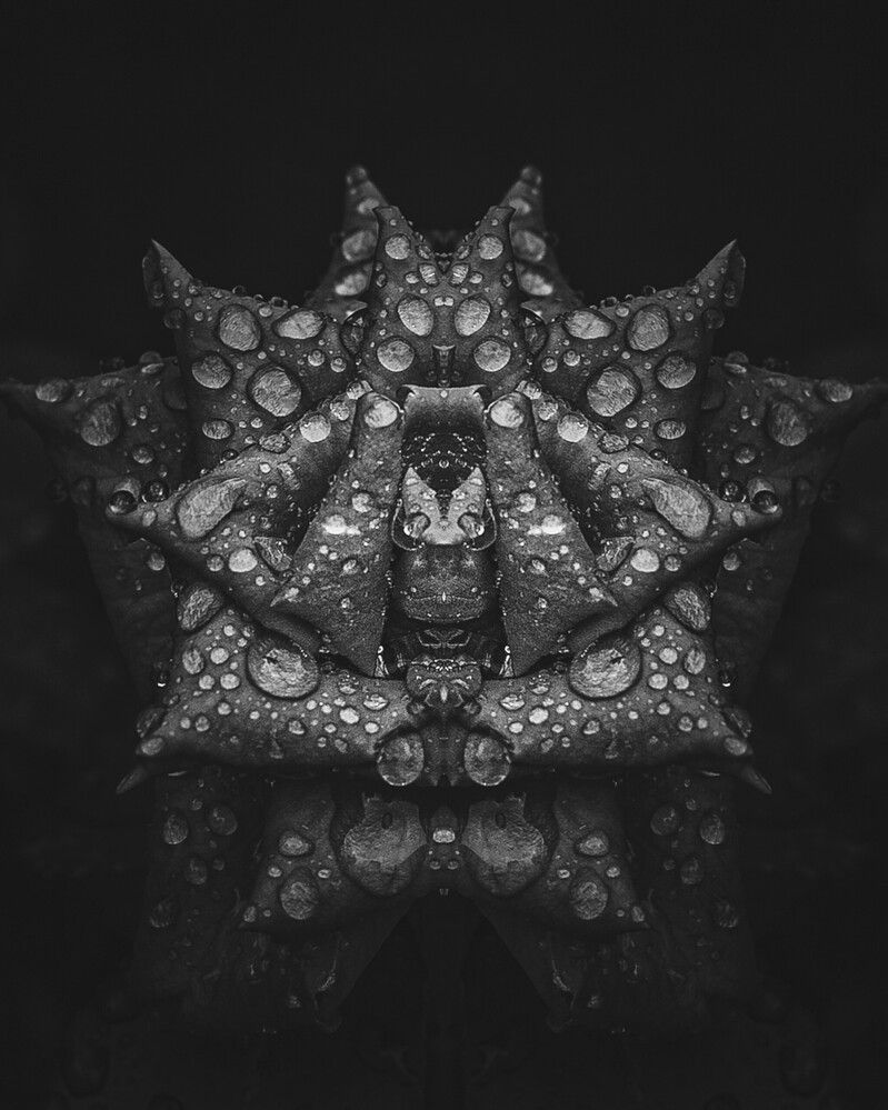 Photograph by Alexandra Sergeeva