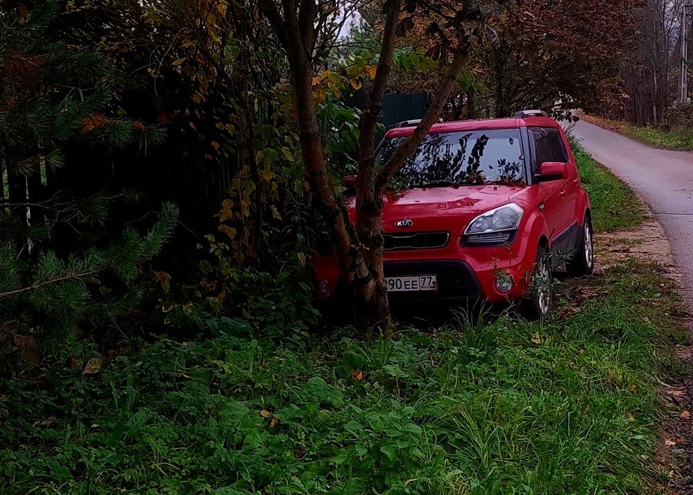 Фотография автора Виталий Петров