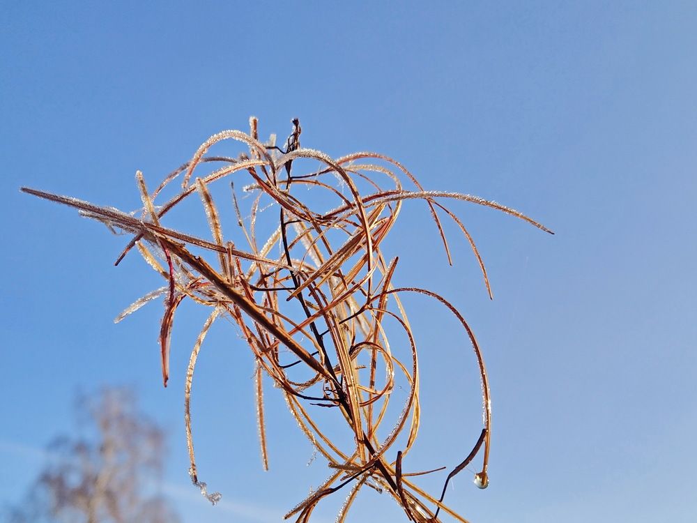 Photograph by Виталий Черепенькин