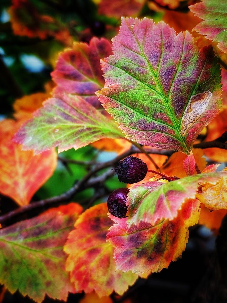 Photograph by Владимир Сушкин