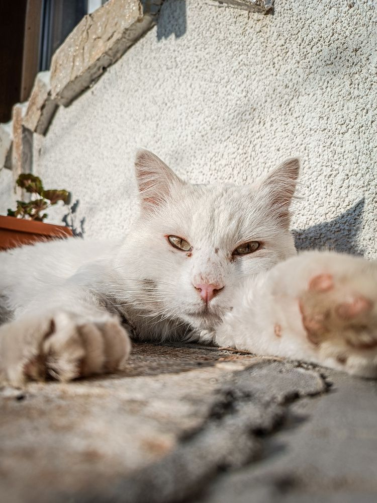 Photograph by Виктория Хинтоларска