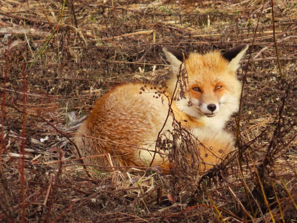 Photograph by Ольга Митрофанова