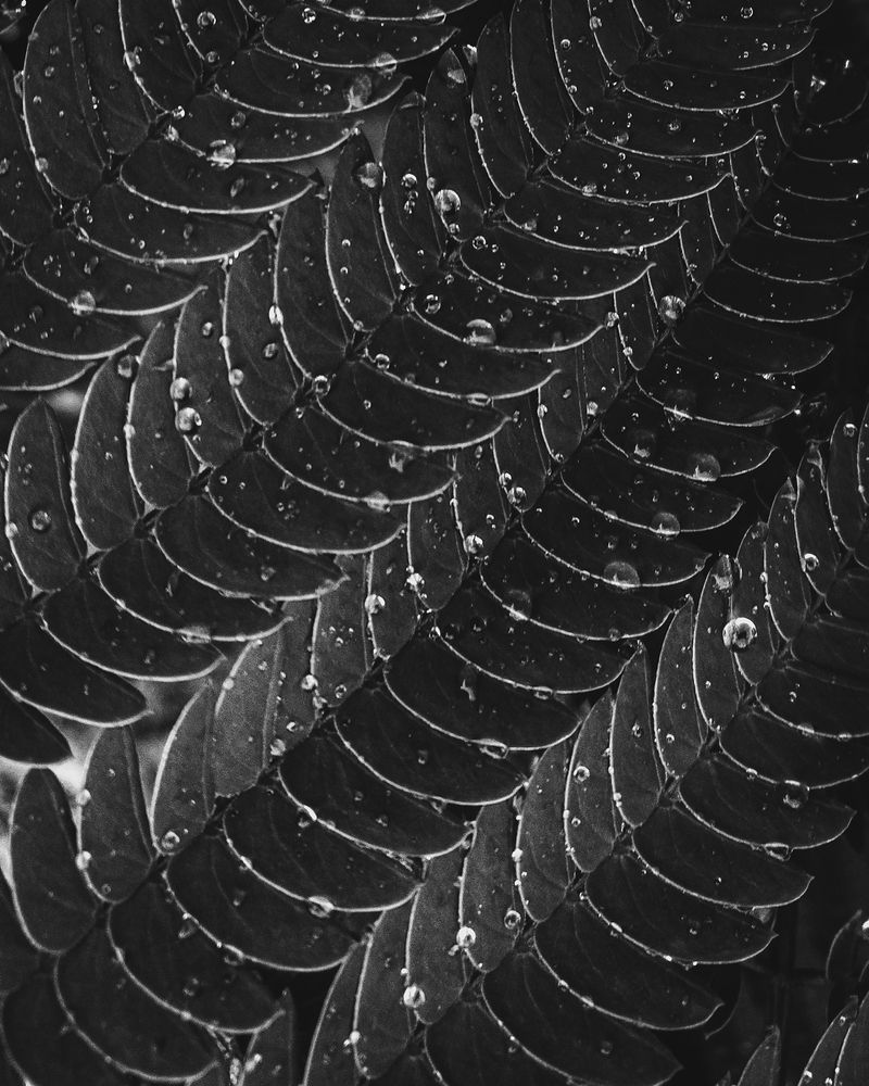 Photograph by Alexandra Sergeeva