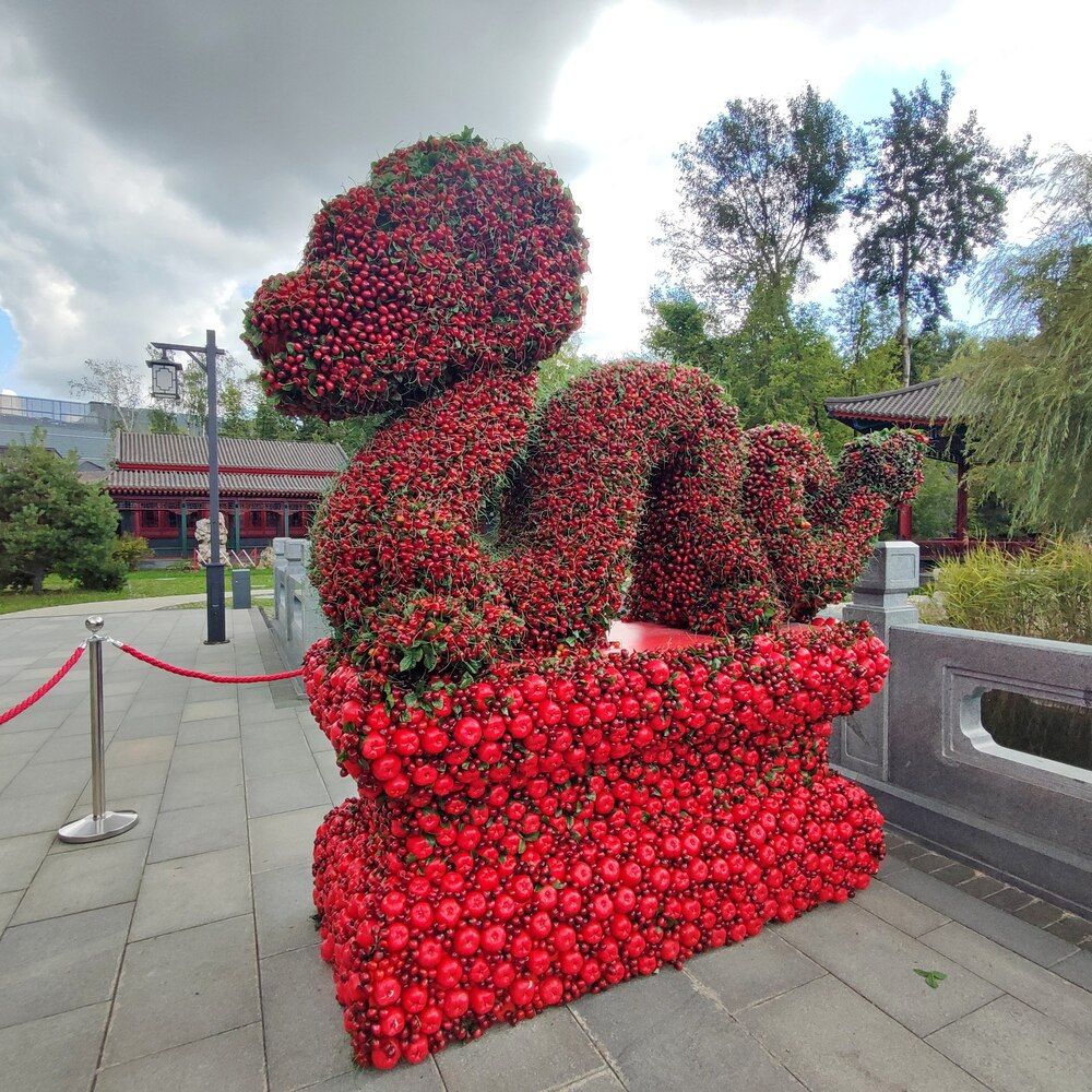 Дракон из красных фруктов