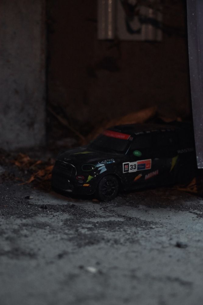 Фотография автора Эльза Завьялова