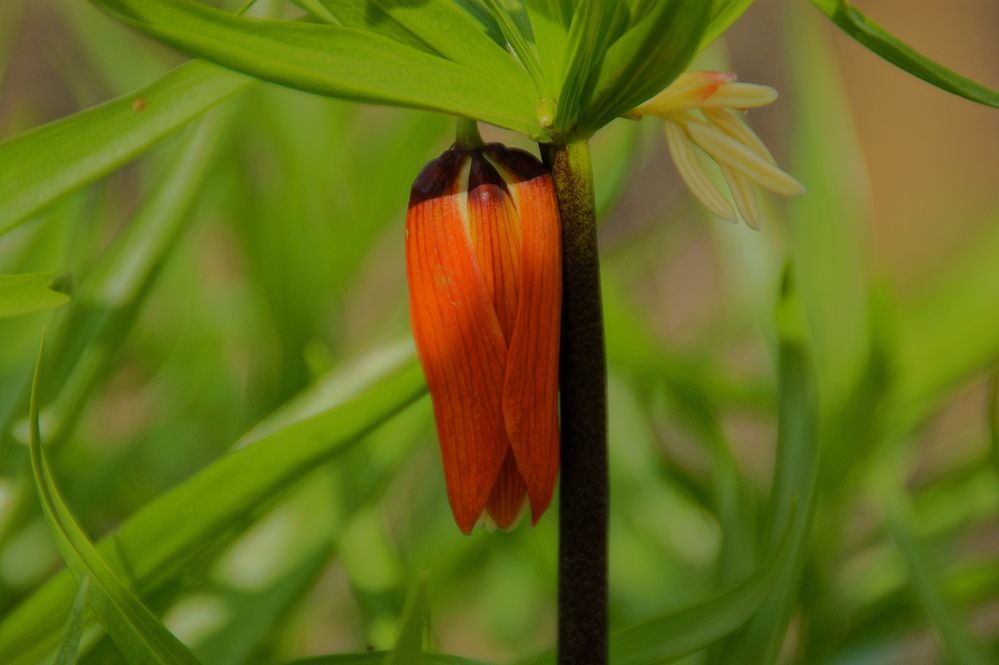 Фотография автора Sergej Roor