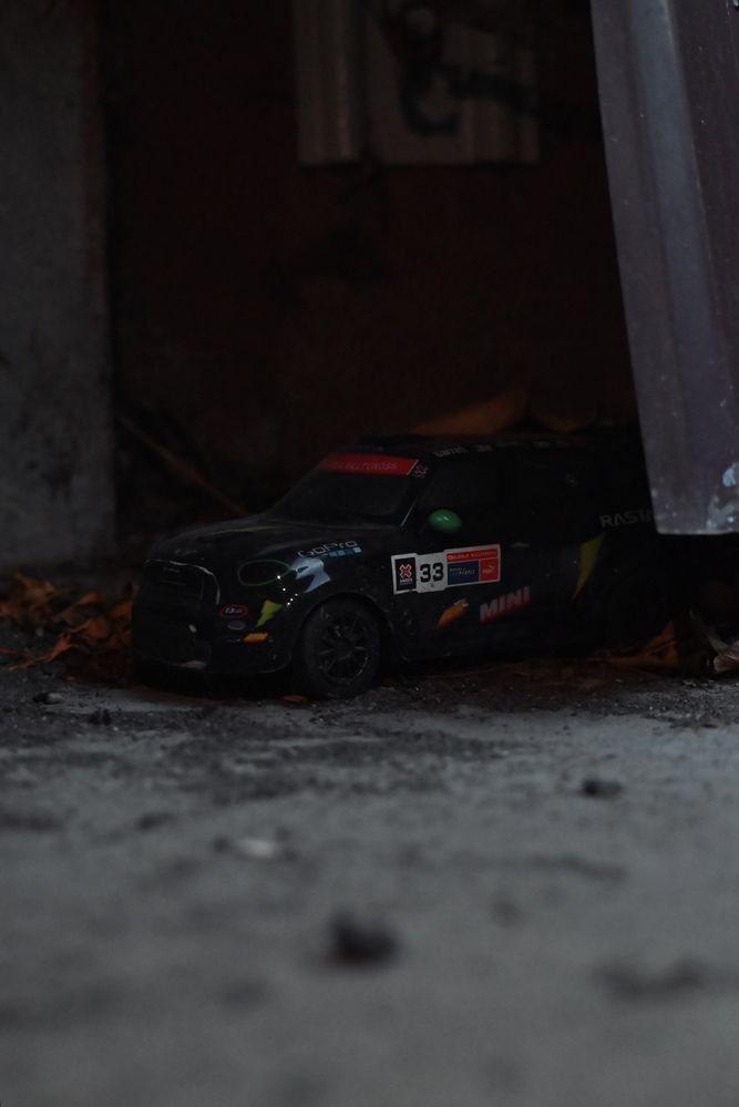 Фотография автора Эльза Завьялова