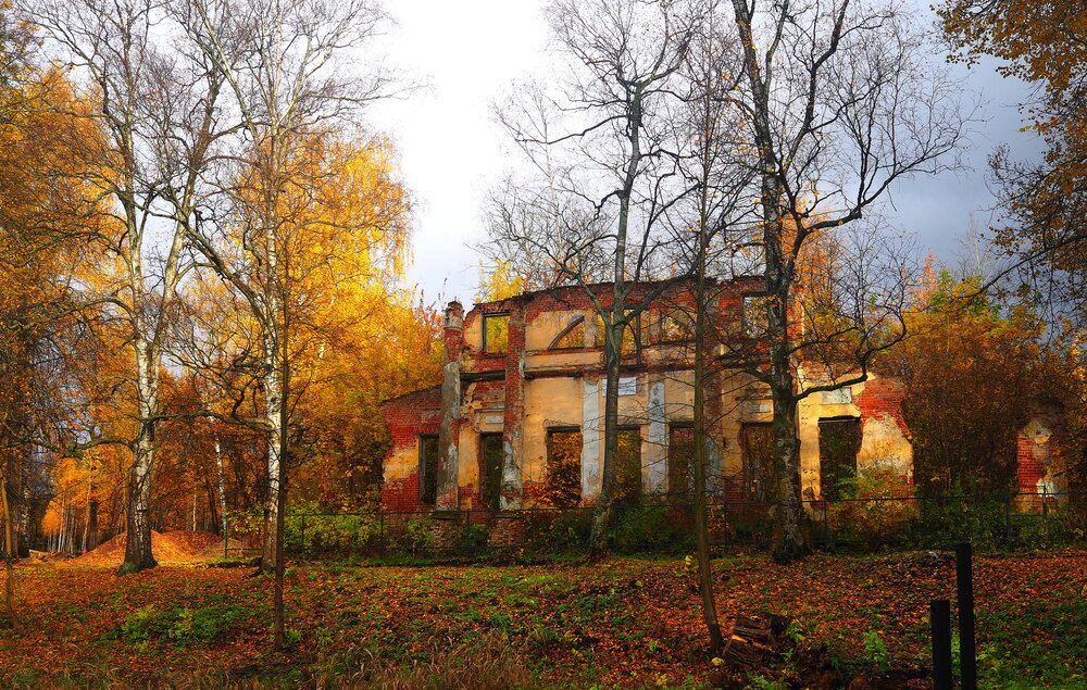 Photograph by ANDREY PERESHEIN