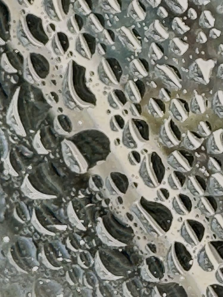 Фотография автора Галина Шиманцова