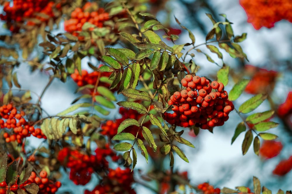 Фотография автора Иван Безрядин