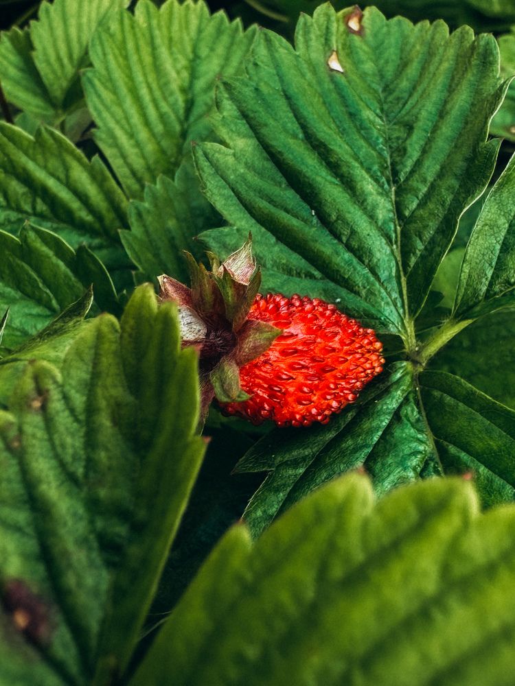Photograph by Александра Кишикова