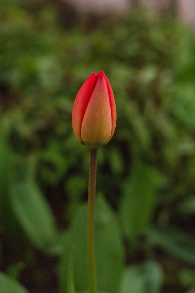 Photograph by Александра Кишикова