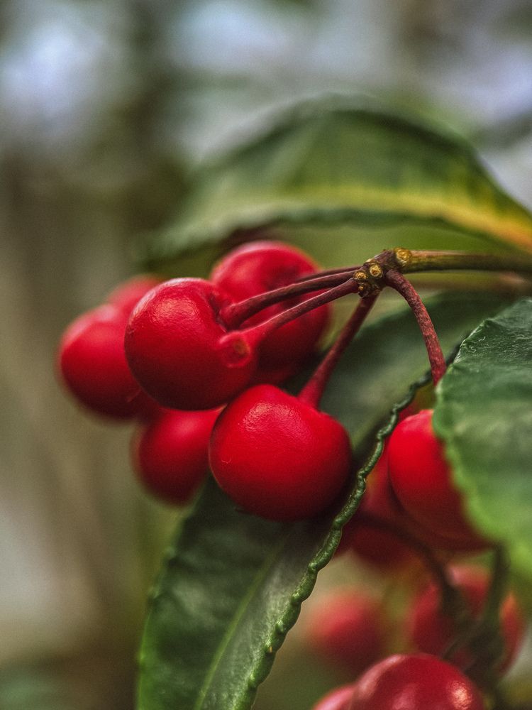 Photograph by Александра Кишикова