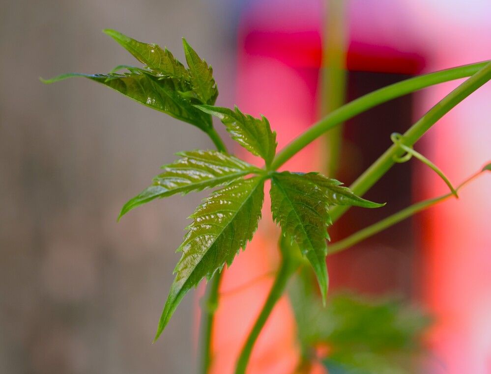 Photograph by Гагик Саркисян