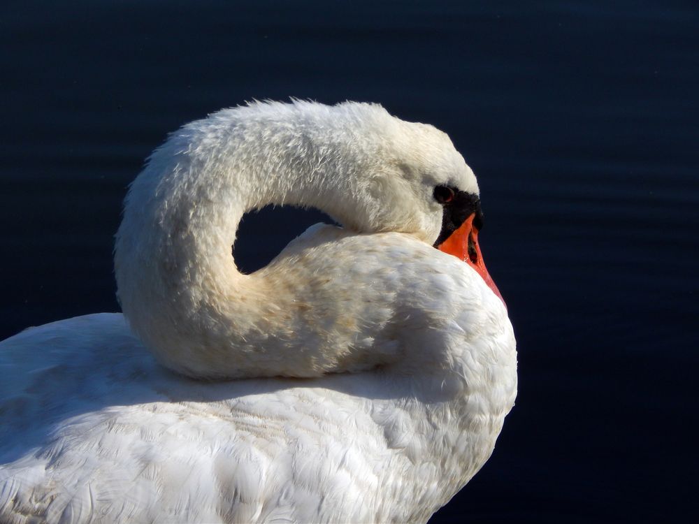 Photograph by Кирилл Елесин