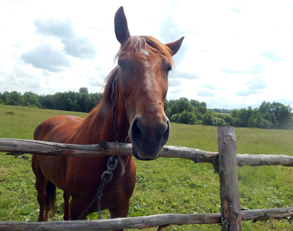 Photograph by Кирилл Елесин