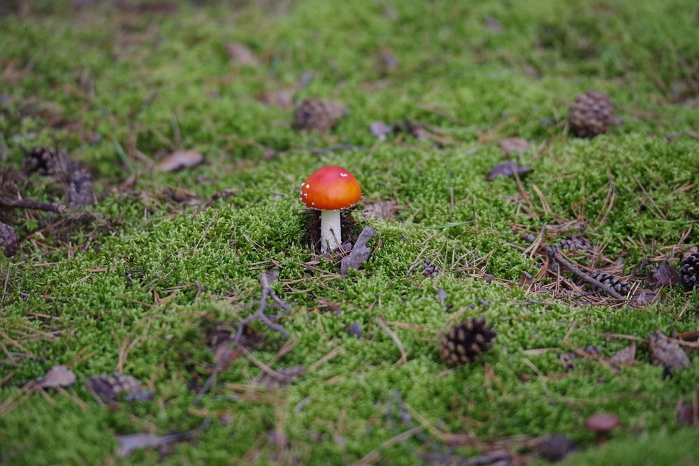 Photograph by Андрей Корытов