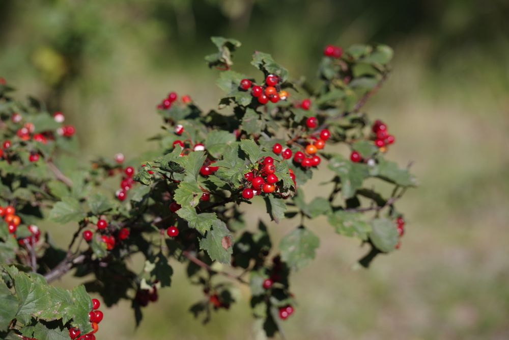 Photograph by Андрей Корытов